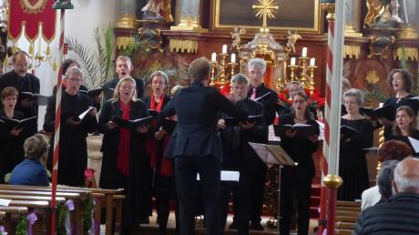 Ein erfüllendes Konzerterlebnis bescherten in Mertingen die Mitglieder des Schweriner Vocalensembles unter Leitung von Kantor Christian Domke. 	 	