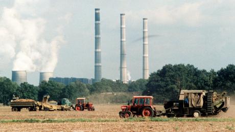 Kartoffelernte im Oktober 1989 in der ehemaligen DDR: Die meisten Bauern waren in landwirtschaftlichen Produktionsgenossenschaften organisiert, die Technik veraltet. Umso schwieriger war der Anfang für Landwirte aus dem Westen.