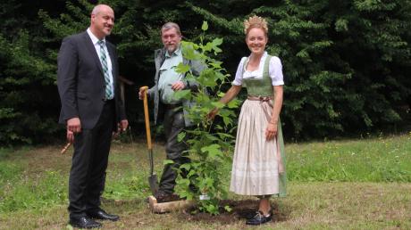 Gemeinsam pflanzten (von links) Bürgermeister Harald Müller, Förster Werner Diemer und Waldprinzessin Maria Sinning zwei Bäume im Waldpark. 	