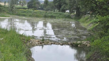 Die ausgebaggerten Regenrückhaltebecken an Möhren- und Krumbach am Ortsrand von Otting haben möglicherweise Schlimmeres verhindert. 