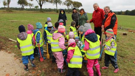 Eifrig unterstützt von den Mädchen und Buben des Kindergartens pflanzen Behördenleiter Manfred Faber und Bürgermeister Roland Wildfeuer (rechts) den ersten Baum auf der neuen Streuobstwiese bei Daiting.  	