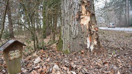 Zwei Unglücke werden hier auf einen Blick sichtbar: Das Marterl links erinnert an einen tödlichen Unfall vor 20 Jahren auf der Staatsstraße nahe Heidmersbrunn. Rechts der beschädigte Baum nach einem neuerlichen Aufprall.  	