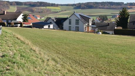 In diesem Bereich am südlichen Ortsende von Wolferstadt soll ein neues Baugebiet entstehen. Doch hier brüten auch Feldlerchen.