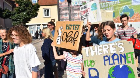 Jugendliche demonstrieren am Freitagnachmittag im Donauwörther Ried für mehr Klimaschutz bei global organisierten Klimastreik.  	