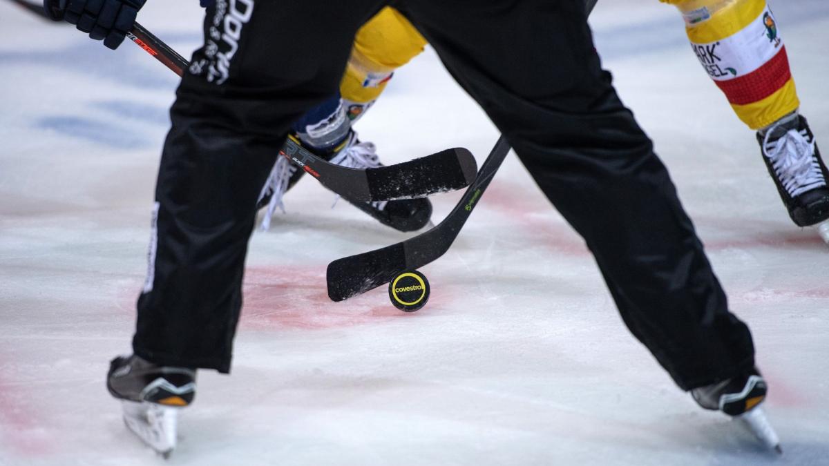 Eishockey-Playoffs 2022 Termine, Regeln, Übertragung im TV und Live-Stream