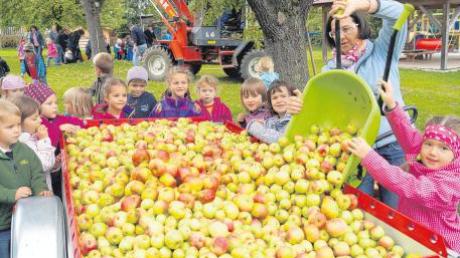 Einen Zentner Äpfel braucht man für 40 Liter Apfelsaft. Die Kinder waren auf ihre reiche Ernte stolz. 