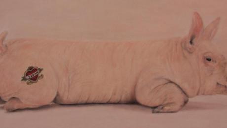 Auch in den neuen Kursen der Friedberger KunstSchule sollen wieder Hingucker entstehen wie dieses tätowierte Schwein.   

