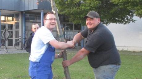 Michael Jaser (links) und Stefan Ankner pflanzen eine Eiche vor der Mehrzweckhalle.