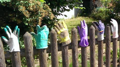 Frauchen Helga Esther Poppe hatte die von Kater Orlando erbeuteten Gartenhandschuhe auf Zaunlatten gesteckt. Doch die Handschuhe verschwanden.