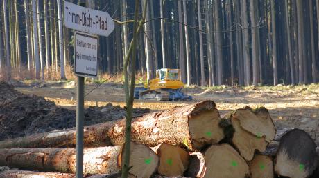 Wegen der vorbereitenden Arbeiten für den künftigen Windpark im Erlauholz bei Bachern ist der Trimm-Dich-Pfad voraussichtlich bis Herbst gesperrt.