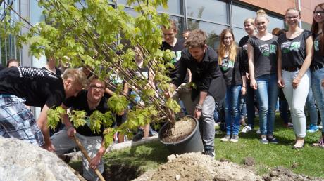 Nach guter Tradition der letzten Jahre pflanzten die diesjährigen Absolventen der Realschule einen Erinnerungsbaum vor ihre Schulaula.