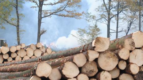 Viel Holz ist in den vergangenen Monaten auf den Markt gekommen. Doch die sinkenden Preise sind nicht die einzigen Probleme, mit denen Waldbesitzer zu kämpfen haben.  	