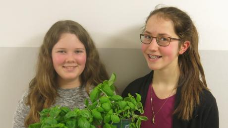 Hannah Wetterich (links) und Leonie Prillwitz haben bei „Jugend forscht“ das Wachstum von Basilikum untersucht.
