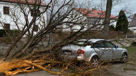 In der Friedberger Frühlingsstraße wütete der Sturm. Ein Baum stürzte auf ein Auto.  	