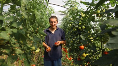 Seine verschiedenen Tomatensorten liegen Jonas Machnik vom Friedelhof in Eurasburg-Hergertswiesen besonders am Herzen. 	

