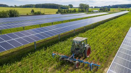 Durch die deutschlandweit erste Agro-Photovoltaik-Anlage in Althegnenberg soll grüner Strom entstehen. 	