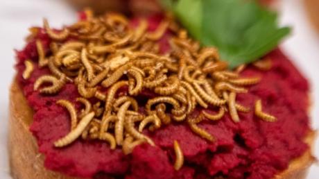 Buffalowürmer als Topping auf einem Brot mit Rote-Beete-Hummus. In der EU dürfen mehrere Insektenarten als Nahrungsmittel verkauft werden. 