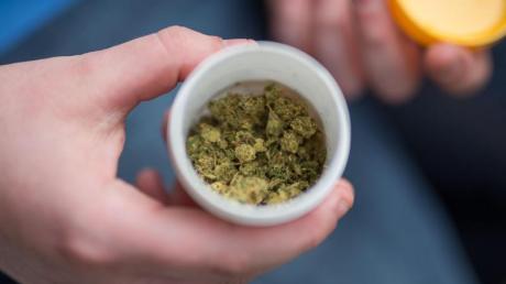 Cannabisblüten können seit 2017 von Ärztinnen und Ärzten auf Rezept verschrieben werden.