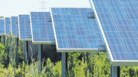Aus der Kiesgrube in Haldenwang könnte ein Solarpark werden. 
