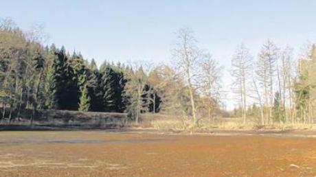 Der trockengelegte Ochsenweiher bei Freihalden wurde in Teilbereichen wieder geflutet. 