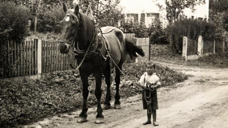 Der kleine Ulrich Wolf führt im Jahr 1938 ein Pferd im Geschirr an der Leine vor dem Haus der Familie Strzoda entlang.