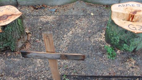 Vor den beiden gefällten Bäumen (eine Buche und ein Ahorn) in der Günzburger Kapuzinergasse hat ein Unbekannter ein symbolisches Kreuz aufgestellt. „Armes GZ“ ist auf einem Baumstumpf zu lesen.  
