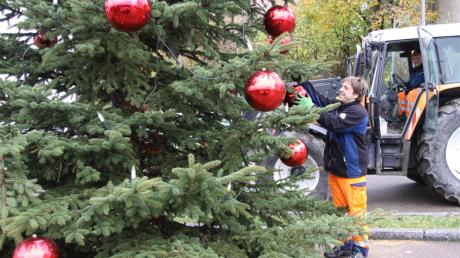 Am 29. November findet die vierte Rettenbacher Dorfweihnacht statt. Der Christbaum steht bereits. Markus Vogeser (links) und Otto Fahrenschon vom Rettenbacher Bauhof bringen gerade die letzten der großen roten Kugeln an. 
