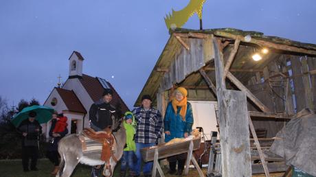 Der Stall ist bereits aufgebaut und auf dem Dach leuchtet der große gelbe Stern: Fast alles ist bereit für die Feldweihnacht in Schnuttenbach. Nur der Hauptdarsteller fehlt. Bei der Generalprobe lag noch eine Puppe als Jesuskind in der Krippe. 