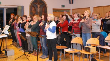 Schon jetzt wird fleißig geprobt: Am 12. April präsentiert der Gospelchor Günzburg auch Rockklassiker, Musical-Songs und aktuelle Hits.  
