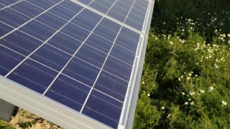 Südlich von Schnuttenbach soll bald ein Solarpark mit Fotovoltaikanlagen entstehen. 