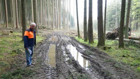 Der Waldweg bei Landensberg ist in einem sehr schlechten Zustand. 