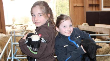 Claudia Plersch aus Kemnat züchtet seit 13 Jahren die seltenen Waldschafe. Noch ist es zu kalt, doch in wenigen Wochen dürfen die Tiere wieder vom Stall nach draußen auf die Weide. Besonders stolz sind ihre beiden Töchter Tonia (10) und Emma (7) (von links) auf die kleinen Lämmchen. 