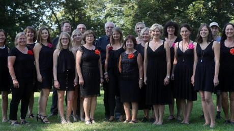 Der Gospelchor Gospel & Joy Offingen hat sein Programm bereits erfolgreich in Dillingen vorgestellt – jetzt haben die Sänger ein Heimspiel. 	 	