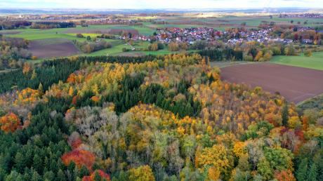 Der Klimawandel macht Bayerns Wäldern zu schaffen: Sie leiden unter Trockenheit und Hitze.