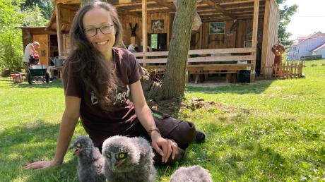 Dajana Menter ist die neue Leiterin des Greifvogelparks in Konzenberg. Sie folgt auf ihren Vater Martin Menter. Hier zeigt sie drei der jüngsten Bewohner des Parks: ziemlich aufgeweckte Schnee-Eulenküken. 