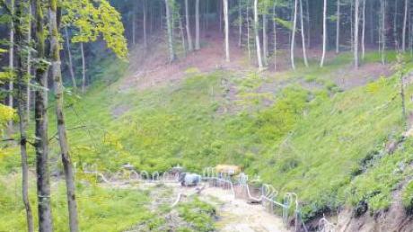Im Wald in Bebenhausen liegt das Quellgebiet. Hier wurden kürzlich Pumpversuche durchgeführt, um das Wasservorkommen zu ermitteln.  