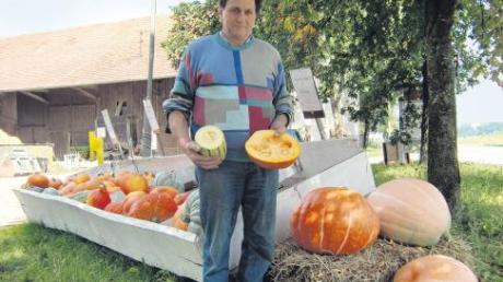Groß und meistens rund: Klaus Heinz in Altenstadt hält in der rechten Hand einen aufgeschnittenen Spaghettikürbis und in der linken einen Halloweenkürbis.  
