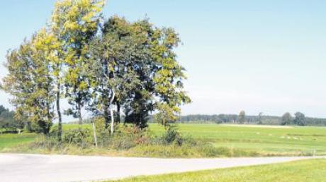 Laut dem neuen Windatlas des TÜV Süd ist das Gebiet „Hölsen“ nordöstlich des Kirchhaslacher Ortsteils Herretshofen in Richtung Gemarkungsgrenze Hairenbuch für die Errichtung von Windkraftanlagen attraktiv.  