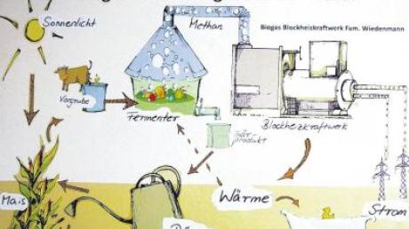 Biogas - die Energie aus der Natur - hat Familie Wiedenmann die Schautafel überschrieben, die den Schülern in der Grundschule kindgerecht erklärt, wie das Blockheizkraftwerk funktioniert. 