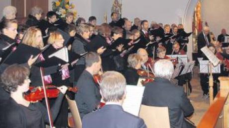 Einen gelungenen musikalischen Beitrag zur Patroziniumsfeier lieferten Kirchenchor und Instrumentalkreis St. Martinus in Dietenheim.  