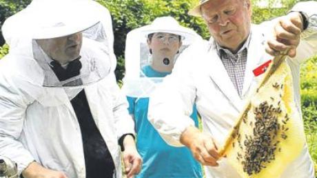 Die Bienen hängen noch an den Waben, auch immer ein spannender Augenblick. Helmut Dölzer hält die Immen in der Hand, während Pfarrer Menzinger sicher behütet zuschaut. 