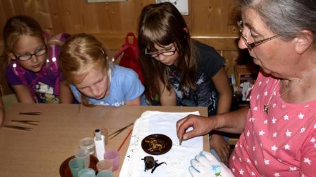 Bei einer Ferienaktion brachte „Fledermausmutter“ Renate Pfeiffer Kindern die vom Aussterben bedrohten Tiere näher.