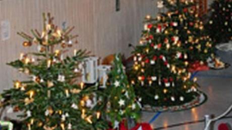 In der Bellenberger Festhalle wurden Christbäume unter verschiedenen Mottos ausgestellt.  
