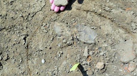 Nach Jahrtausenden wieder am Tageslicht: So sehen einige der prähistorischen Keramik-Scherben aus, die im Betlinshauser Baugebiet in der Erde entdeckt wurden.