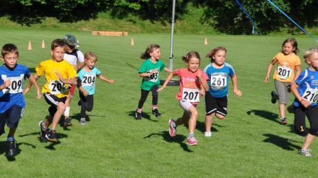 Am Samstag, 20. Juni, beginnt am Spätnachmittag am Sportplatz der traditionelle Sonnwendlauf mit dem Start der Kinder und Jugendlichen. 	