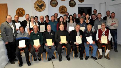 Die Auszeichnung verdienter Schützen stand in Greimeltshofen an. Unser Bild zeigt die geehrten Mitglieder. 	