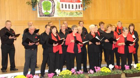 Unser Bild zeigt den Gesangverein Harmonia Illereichen beim gelungenen Chorkonzert in der Schulturnhalle in Altenstadt. 