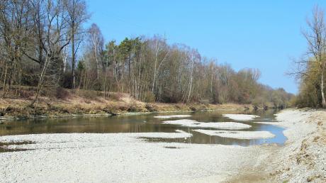 Aus Kies wurde in der Iller nahe Filzingen eine neue Fliesrinne modelliert. In diesem überarbeiteten Flussbett sollen neuen Laich- und Jungfischhabitate entstehen.  	