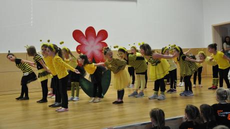 Die Tanzmäuse des TSV Illertissen begeisterten das Publikum als Bienchen. Sie waren eine von 15 Gruppen, die beim 1. Rothtal-Dance-Cup in Oberroth aufgetreten sind. 