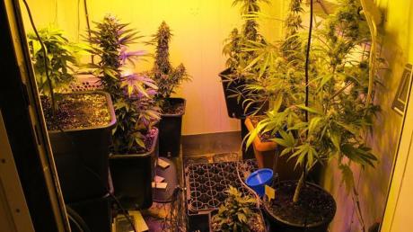 Auf einem Anwesen in Untereichen fand die Polizei im April insgesamt 1,5 Kilogramm Marihuana. Nun läuft der Prozess.